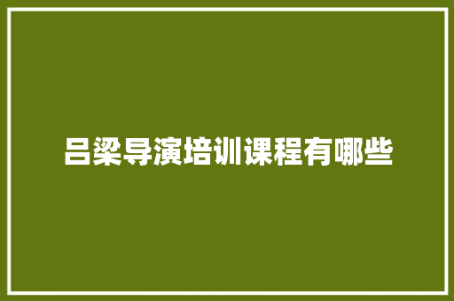 吕梁导演培训课程有哪些 名人名言