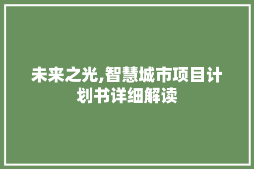 未来之光,智慧城市项目计划书详细解读