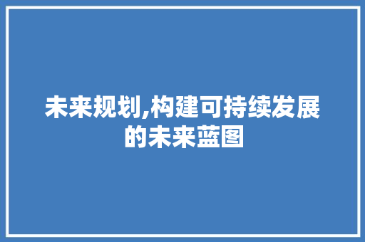 未来规划,构建可持续发展的未来蓝图