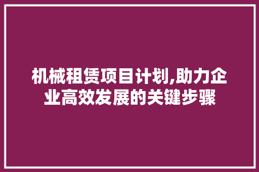 机械租赁项目计划,助力企业高效发展的关键步骤