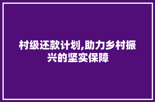 村级还款计划,助力乡村振兴的坚实保障