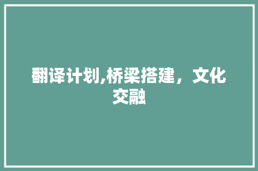 翻译计划,桥梁搭建，文化交融