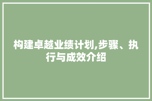 构建卓越业绩计划,步骤、执行与成效介绍 诗词鉴赏
