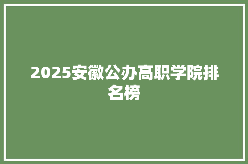 2025安徽公办高职学院排名榜