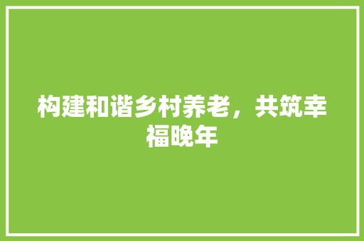 构建和谐乡村养老，共筑幸福晚年 诗词鉴赏