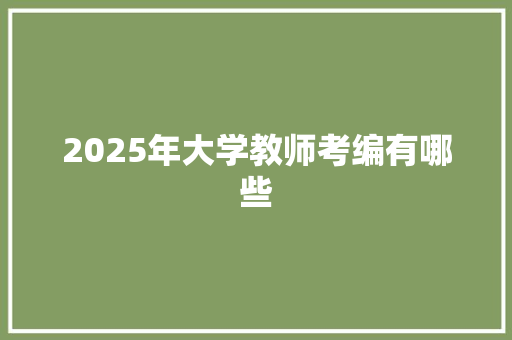2025年大学教师考编有哪些