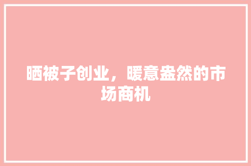晒被子创业，暖意盎然的市场商机 工作总结
