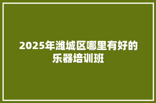 2025年潍城区哪里有好的乐器培训班