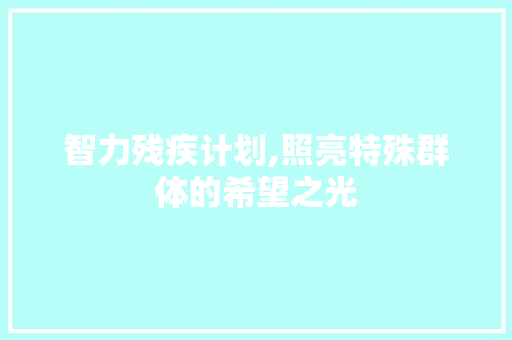 智力残疾计划,照亮特殊群体的希望之光