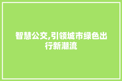 智慧公交,引领城市绿色出行新潮流