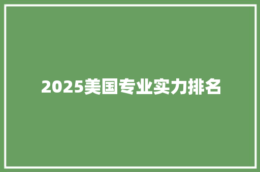 2025美国专业实力排名