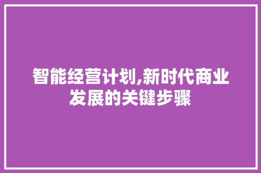 智能经营计划,新时代商业发展的关键步骤 个人简历