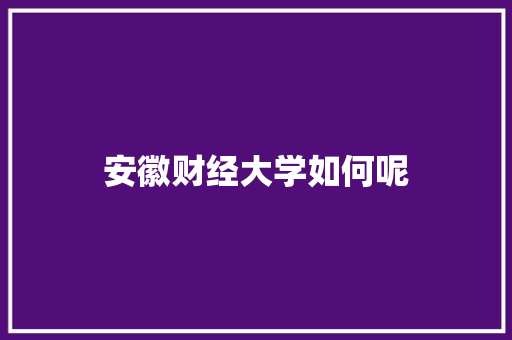 安徽财经大学如何呢 工作总结