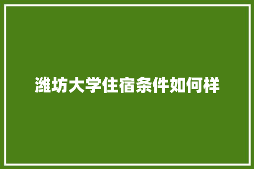 潍坊大学住宿条件如何样
