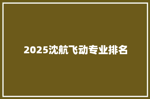 2025沈航飞动专业排名