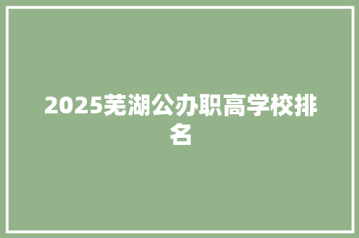 2025芜湖公办职高学校排名
