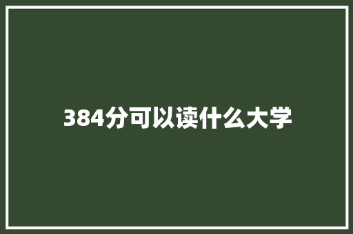 384分可以读什么大学