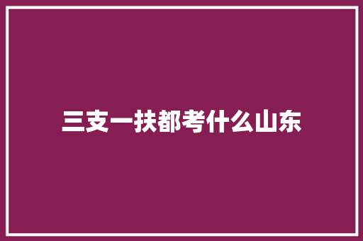三支一扶都考什么山东 合同范本