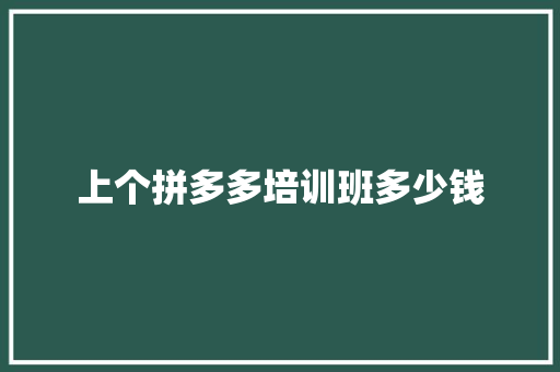 上个拼多多培训班多少钱