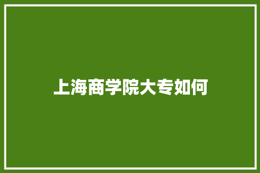 上海商学院大专如何