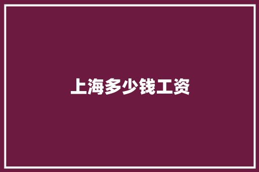 上海多少钱工资 成语大全