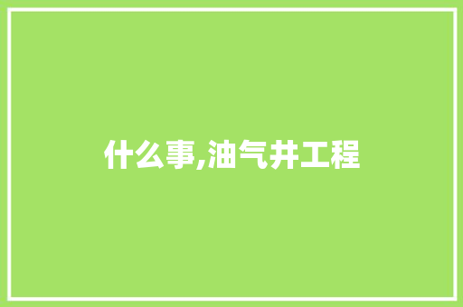 什么事,油气井工程 演讲稿