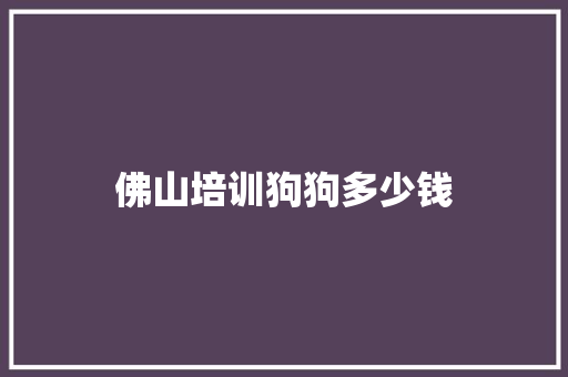 佛山培训狗狗多少钱