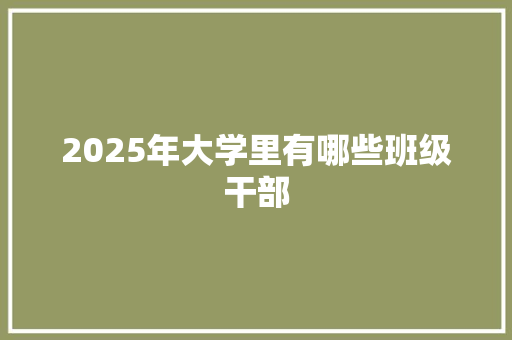 2025年大学里有哪些班级干部