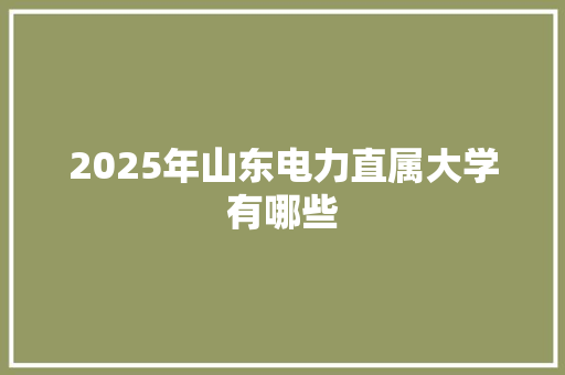 2025年山东电力直属大学有哪些