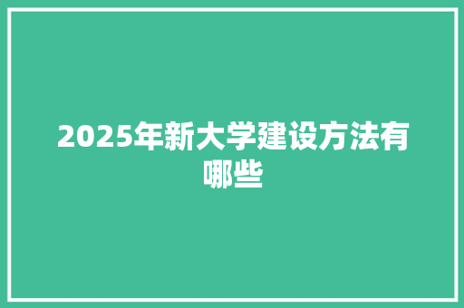 2025年新大学建设方法有哪些 工作总结