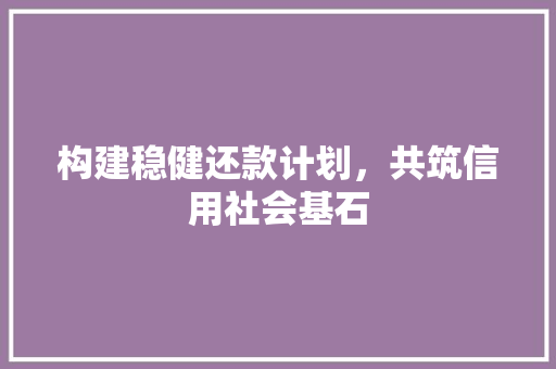 构建稳健还款计划，共筑信用社会基石 工作计划