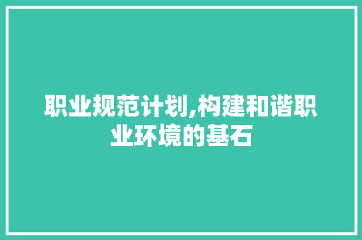 职业规范计划,构建和谐职业环境的基石