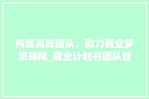 构建高效团队，助力商业梦想翱翔_商业计划书团队管理计划详细解读