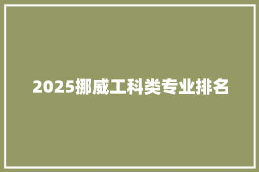 2025挪威工科类专业排名