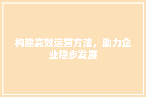 构建高效运营方法，助力企业稳步发展 演讲稿
