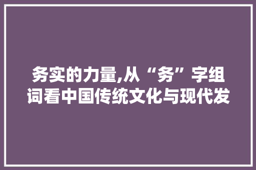 务实的力量,从“务”字组词看中国传统文化与现代发展的融合 个人简历