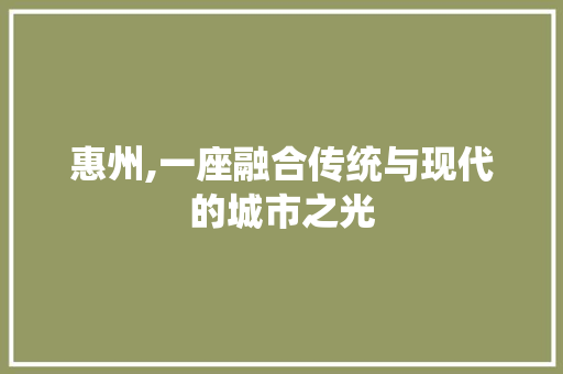 惠州,一座融合传统与现代的城市之光