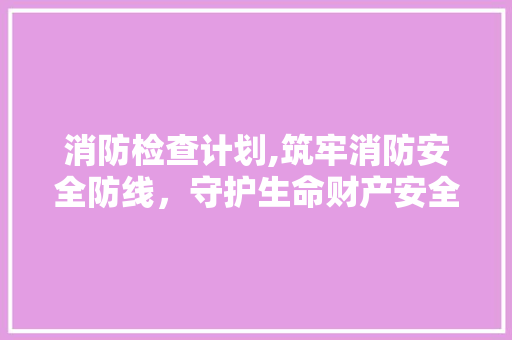 消防检查计划,筑牢消防安全防线，守护生命财产安全