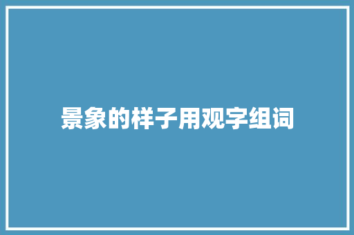 景象的样子用观字组词 个人简历