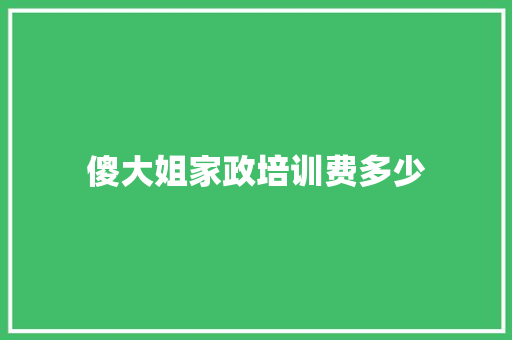 傻大姐家政培训费多少 演讲稿