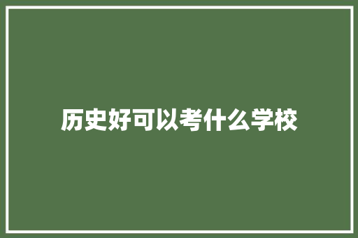 历史好可以考什么学校