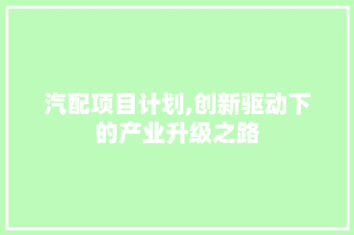 汽配项目计划,创新驱动下的产业升级之路