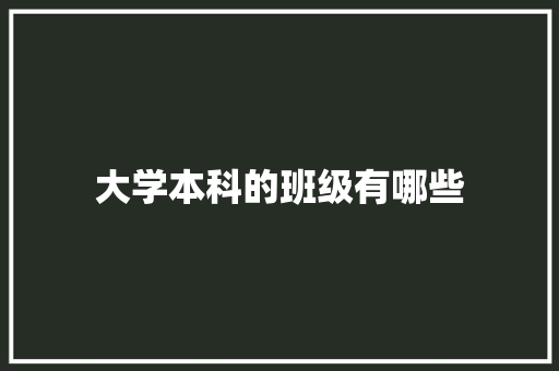 大学本科的班级有哪些