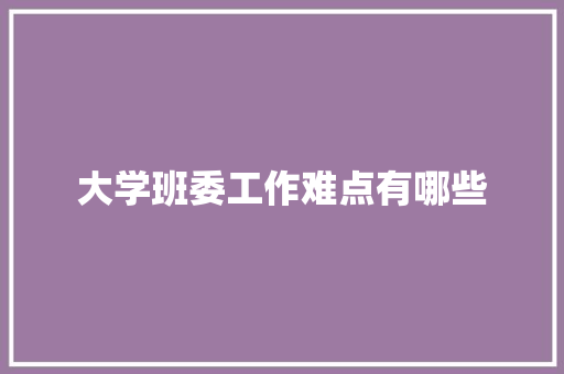 大学班委工作难点有哪些