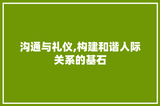 沟通与礼仪,构建和谐人际关系的基石