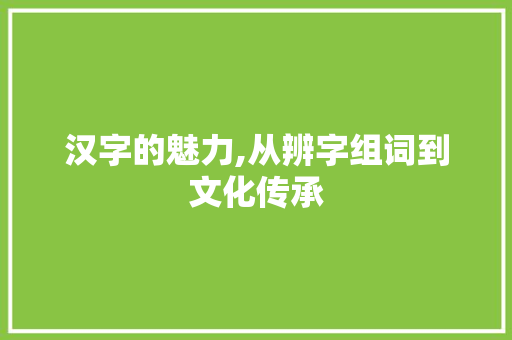 汉字的魅力,从辨字组词到文化传承 工作计划