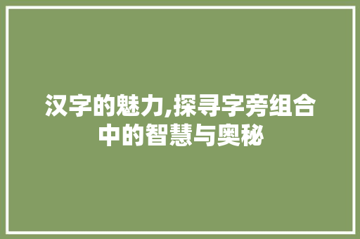 汉字的魅力,探寻字旁组合中的智慧与奥秘