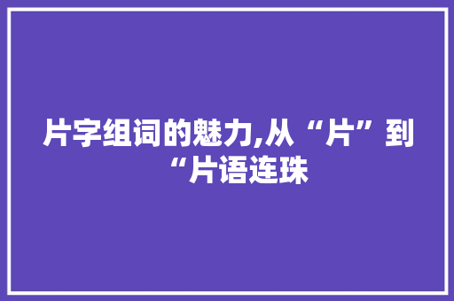 片字组词的魅力,从“片”到“片语连珠