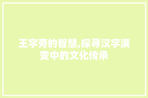 王字旁的智慧,探寻汉字演变中的文化传承 工作总结