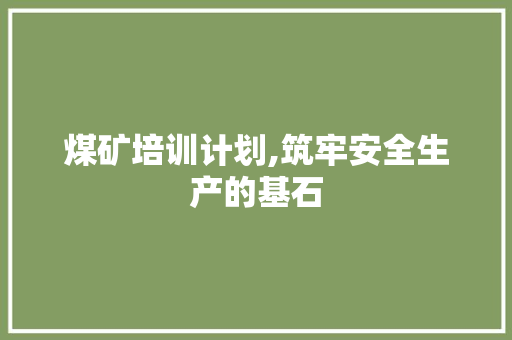 煤矿培训计划,筑牢安全生产的基石